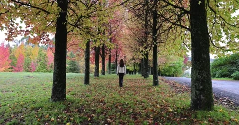 Autumn walk Stock Footage 255613320