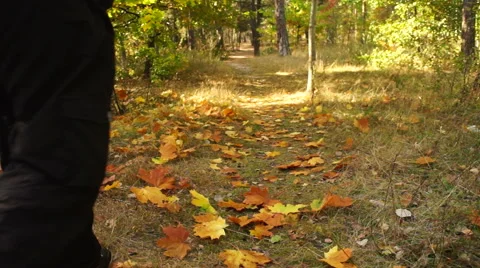 Autumn walk in the park. Video stock 43032097