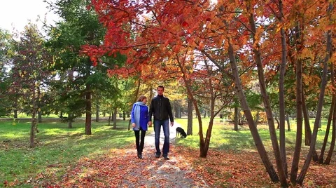Autumn walking Stock Footage 42707110