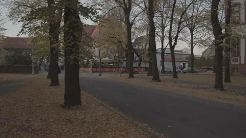 Autumn walking in the Parnu Video stock 219859277
