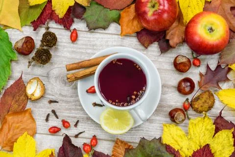 Autumn warming tea Stock Photos