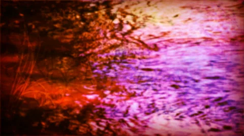 Autumn Water Stock Footage 50782668