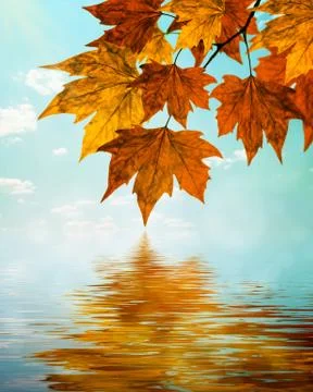 Autumn water reflection background Stock Photos