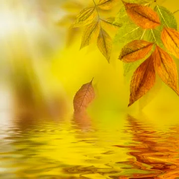 Autumn water reflection background Stock Photos