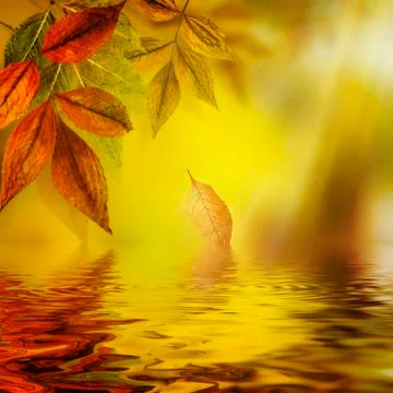 Autumn water reflection background Stock Photos