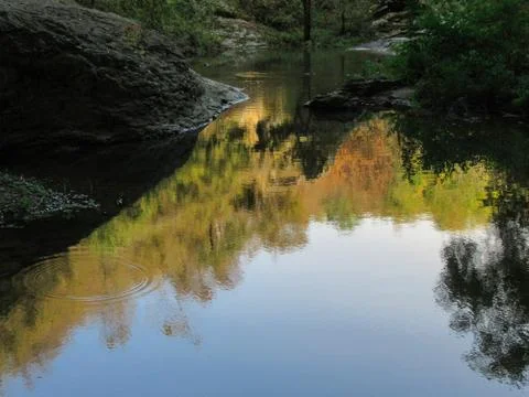 Autumn water reflections Stock Photos