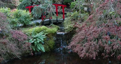 Autumn water stream Stock Footage 143200843