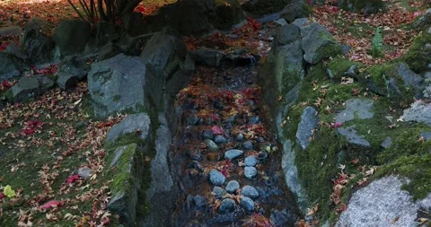 Autumn water stream Stock Footage 143200871