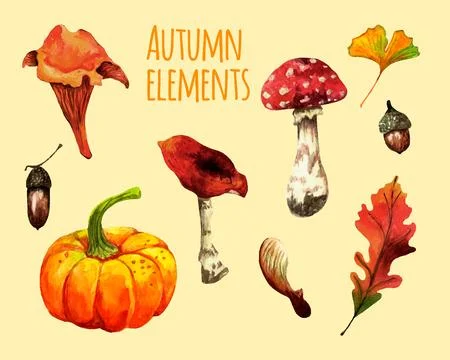 Autumn watercolor vector elements set 스톡 일러스트