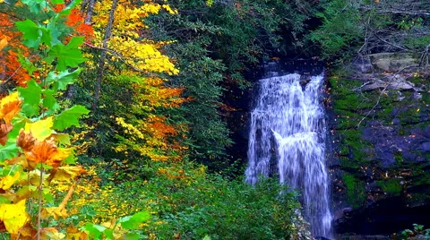 Autumn waterfall 02 Stock Footage