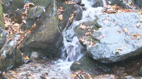 Autumn Waterfall 1 Stock Footage 544028