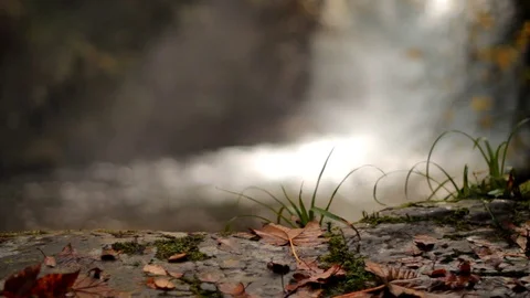 Autumn Waterfall #1 full HD 24fps Stock Footage