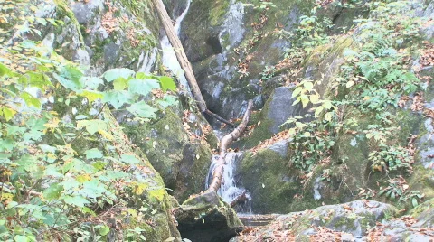 Autumn Waterfall 3 Stock Footage 544232