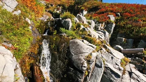 Autumn Waterfall and Foliage on the Reflection Lakes Trail, Mount Rainier Nation Video stock 332139006