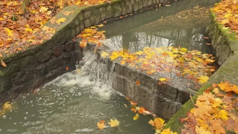 Autumn Waterfall Flowing Through Stone Canal in City Park Stock Footage 344882174