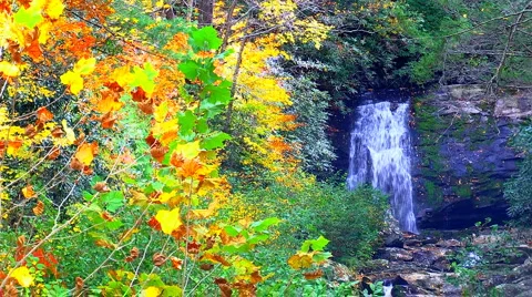 Autumn waterfall Video stock 999545