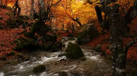 Autumn Waterfall Stock Footage 10794368