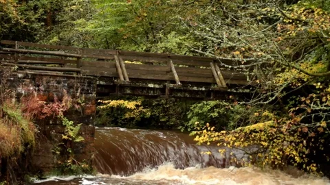 Autumn Waterfall Stock-Footage 96168195