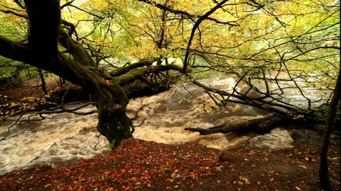 Autumn Waterfall Stock-Footage 96168207
