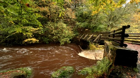 Autumn Waterfall Stock-Footage 96168215