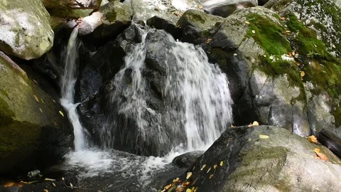 Autumn Waterfall Stock Footage 101619660