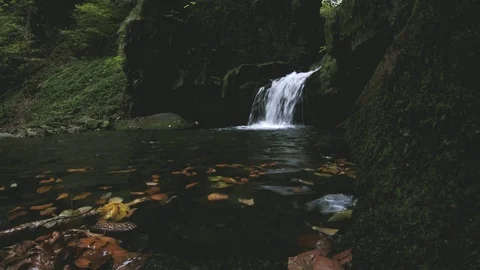 Autumn waterfall Stock Footage 121005655