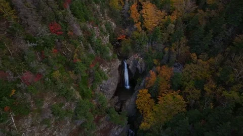 Autumn Waterfall 動画素材 308798129