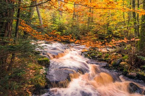 Autumn waterfall Stock Photos