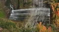 Autumn waterfall. Vertical. HD Footage