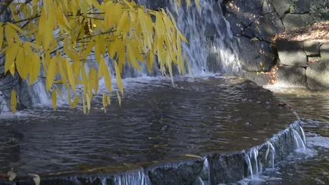 Autumn waterfalls with tree Video stock 83928062