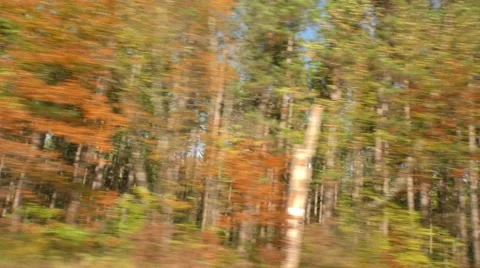 Autumn by the Way Stock Footage 69045768