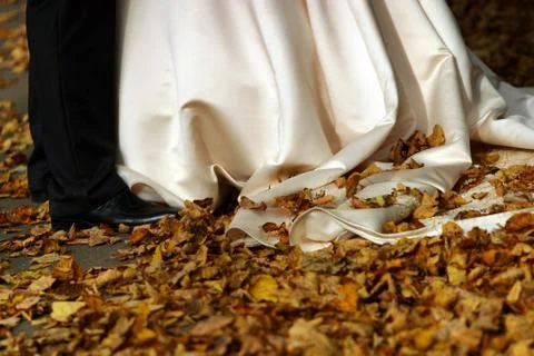 Autumn wedding Stock Photos