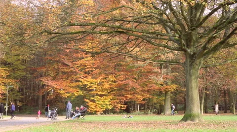 Autumn weekend in the park of Brussels. Video stock 44287282