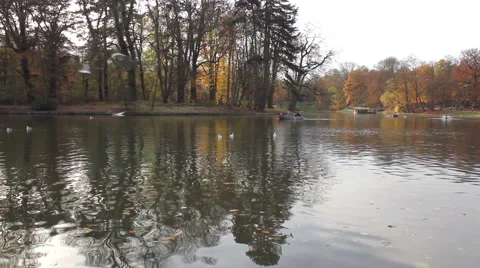 Autumn weekend in the park of Brussels. Video stock 44290521