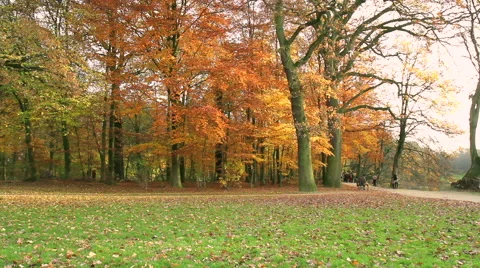 Autumn weekend in the park of Brussels. Stock Footage 44294138