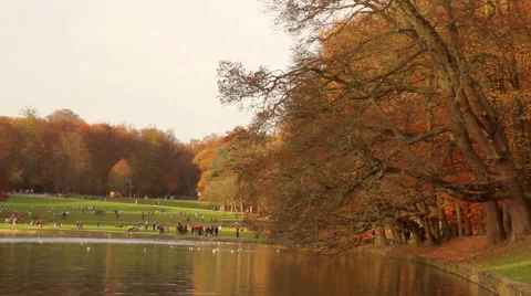 Autumn weekend in the park of Brussels. Video stock 44299282