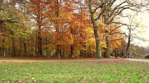 Autumn weekend in the park of Brussels. Video stock 44420596