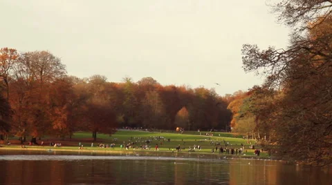 Autumn weekend in the park of Brussels. Stock Footage 44434088