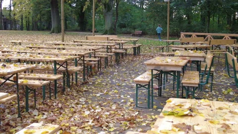 Autumn weekend in the park of Brussels. Stock Footage 164296844