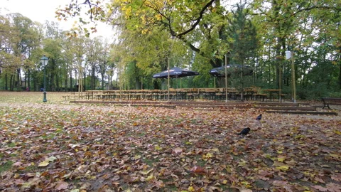 Autumn weekend in the park of Brussels. Stock Footage 164302960