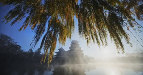 Autumn Weeping Tree Over 16th Century Matsumoto Castle Pond Stock Footage 336814116
