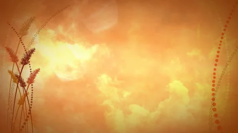 Autumn Wheat 1080 background Stock Footage 50787968