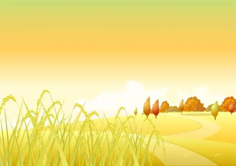 Autumn wheat Stock Illustration
