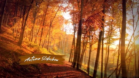Autumn Whispers Slideshow After Effects stock