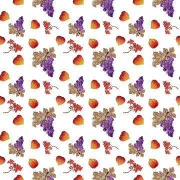 Autumn white Stock Illustration