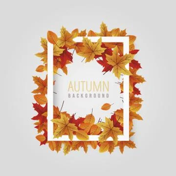Autumn white leaf frame vector Stock Illustration