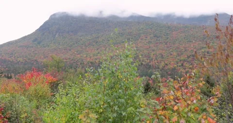 Autumn at White Mountain 스톡 동영상 163827400