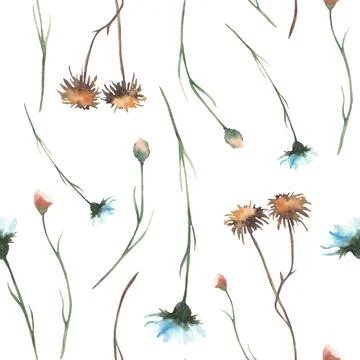 Autumn wildflower seamless pattern. Hand painted watercolor fall flowers an.. Stock Illustration