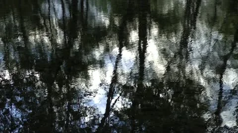 The autumn, wind, in stream water fall leaves from trees Stock-Footage 10593918