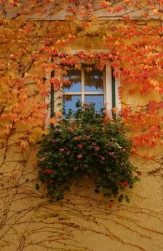 Autumn window Foto stock